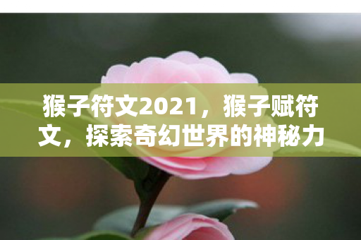 猴子符文2021，猴子赋符文，探索奇幻世界的神秘力量