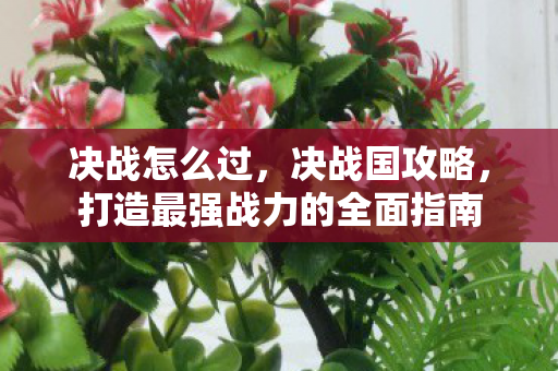 决战怎么过,决战国攻略,打造最强战力的全面指南 决战怎么过,决战国攻略,打造最强战力的全面指南