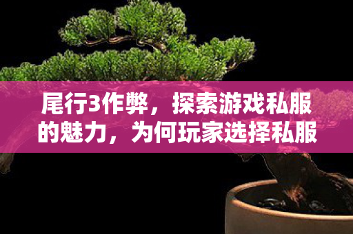 尾行3作弊,探索游戏私服的魅力,为何玩家选择私服? 尾行3作弊,探索游戏私服的魅力,为何玩家选择私服?