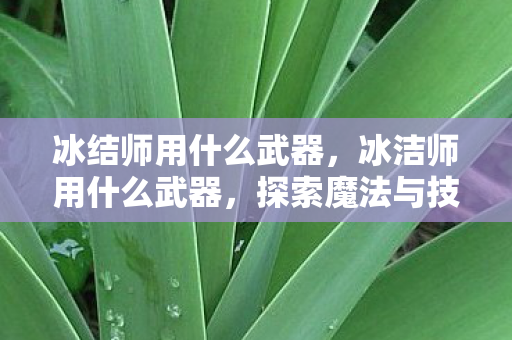 冰结师用什么武器,冰洁师用什么武器,探索魔法与技术的完美融合 冰结师用什么武器,冰洁师用什么武器,探索魔法与技术的完美融合