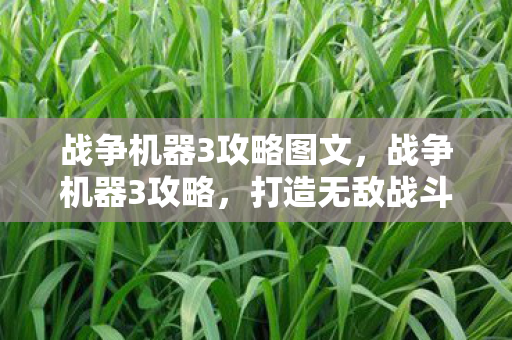 战争机器3攻略图文,战争机器3攻略,打造无敌战斗力的全面指南 战争机器3攻略图文,战争机器3攻略,打造无敌战斗力的全面指南
