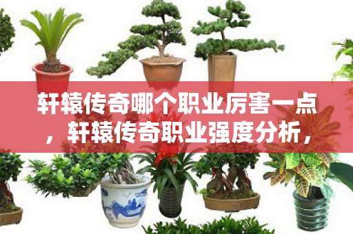 轩辕传奇哪个职业厉害一点,轩辕传奇职业强度分析,哪个职业最厉害? 轩辕传奇哪个职业厉害一点,轩辕传奇职业强度分析,哪个职业最厉害?