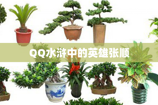 QQ水浒中的英雄张顺 QQ水浒中的英雄张顺