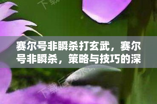 赛尔号非瞬杀打玄武，赛尔号非瞬杀，策略与技巧的深度剖析
