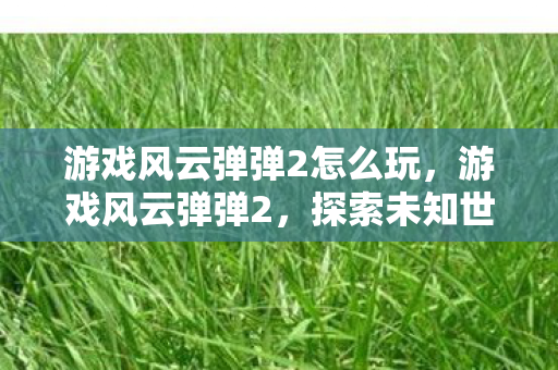 游戏风云弹弹2怎么玩,游戏风云弹弹2,探索未知世界的奇妙之旅 游戏风云弹弹2怎么玩,游戏风云弹弹2,探索未知世界的奇妙之旅