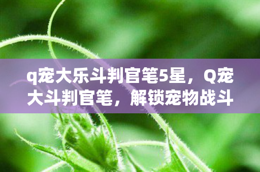q宠大乐斗判官笔5星,Q宠大斗判官笔,解锁宠物战斗新境界 q宠大乐斗判官笔5星,Q宠大斗判官笔,解锁宠物战斗新境界