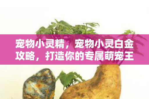 宠物小灵精,宠物小灵白金攻略,打造你的专属萌宠王国 宠物小灵精,宠物小灵白金攻略,打造你的专属萌宠王国