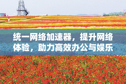 统一网络加速器,提升网络体验,助力高效办公与娱乐 统一网络加速器,提升网络体验,助力高效办公与娱乐