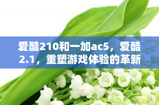 爱酷210和一加ac5,爱酷2.1,重塑游戏体验的革新之作 爱酷210和一加ac5,爱酷2.1,重塑游戏体验的革新之作