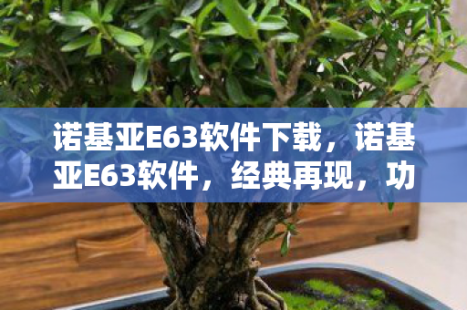 诺基亚E63软件下载,诺基亚E63软件,经典再现,功能升级 诺基亚E63软件下载,诺基亚E63软件,经典再现,功能升级