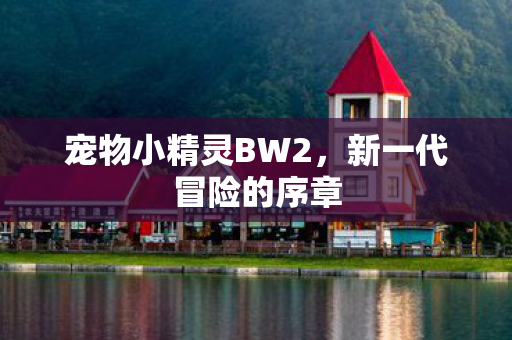 宠物小精灵BW2,新一代冒险的序章 宠物小精灵BW2,新一代冒险的序章