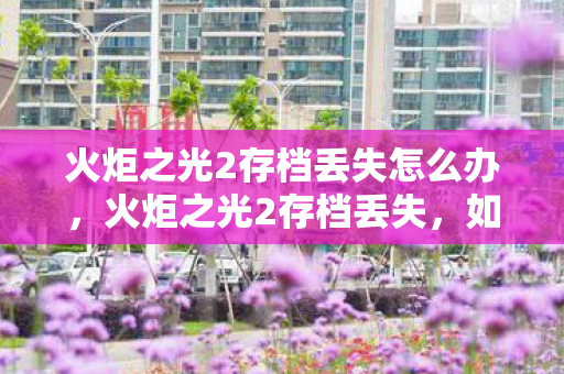 火炬之光2存档丢失怎么办,火炬之光2存档丢失,如何找回遗失的游戏进度? 火炬之光2存档丢失怎么办,火炬之光2存档丢失,如何找回遗失的游戏进度?