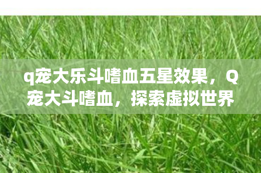 q宠大乐斗嗜血五星效果，Q宠大斗嗜血，探索虚拟世界的战斗激情