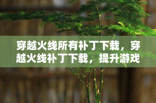 穿越火线所有补丁下载,穿越火线补丁下载,提升游戏体验的必备工具 穿越火线所有补丁下载,穿越火线补丁下载,提升游戏体验的必备工具
