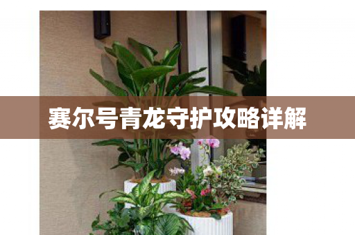 赛尔号青龙守护攻略详解 赛尔号青龙守护攻略详解