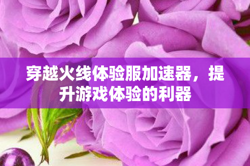 穿越火线体验服加速器,提升游戏体验的利器 穿越火线体验服加速器,提升游戏体验的利器