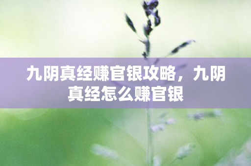 九阴真经赚官银攻略,九阴真经怎么赚官银 九阴真经赚官银攻略,九阴真经怎么赚官银