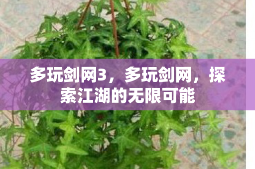 多玩剑网3,多玩剑网,探索江湖的无限可能 多玩剑网3,多玩剑网,探索江湖的无限可能