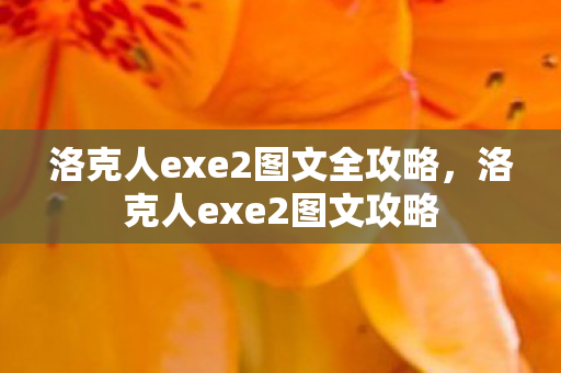 洛克人exe2图文全攻略,洛克人exe2图文攻略 洛克人exe2图文全攻略,洛克人exe2图文攻略