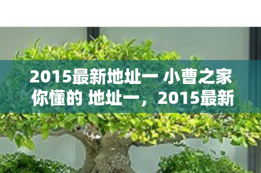 2015最新地址一 小曹之家 你懂的 地址一,2015最新地址,探索数字世界的未知领域 2015最新地址一 小曹之家 你懂的 地址一,2015最新地址,探索数字世界的未知领域