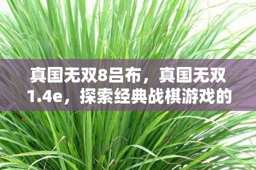 真国无双8吕布，真国无双1.4e，探索经典战棋游戏的深度与魅力