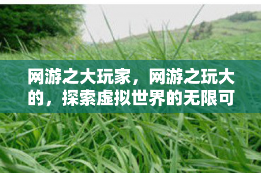 网游之大玩家，网游之玩大的，探索虚拟世界的无限可能
