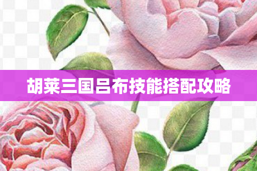 胡莱三国吕布技能搭配攻略 胡莱三国吕布技能搭配攻略