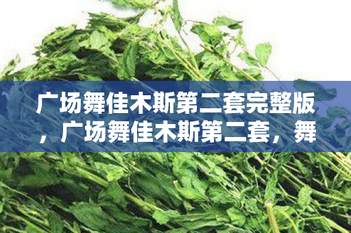 广场舞佳木斯第二套完整版，广场舞佳木斯第二套，舞动生活的艺术