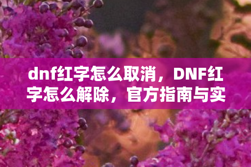 dnf红字怎么取消,DNF红字怎么解除,官方指南与实用技巧 dnf红字怎么取消,DNF红字怎么解除,官方指南与实用技巧