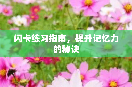 闪卡练习指南,提升记忆力的秘诀 闪卡练习指南,提升记忆力的秘诀