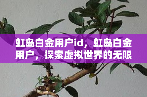 虹岛白金用户id,虹岛白金用户,探索虚拟世界的无限可能 虹岛白金用户id,虹岛白金用户,探索虚拟世界的无限可能
