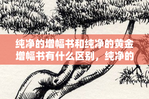 纯净的增幅书和纯净的黄金增幅书有什么区别，纯净的金增幅书，解锁游戏潜能的钥匙