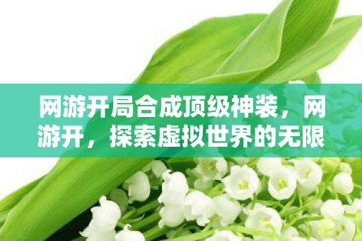 网游开局合成顶级神装,网游开,探索虚拟世界的无限可能 网游开局合成顶级神装,网游开,探索虚拟世界的无限可能