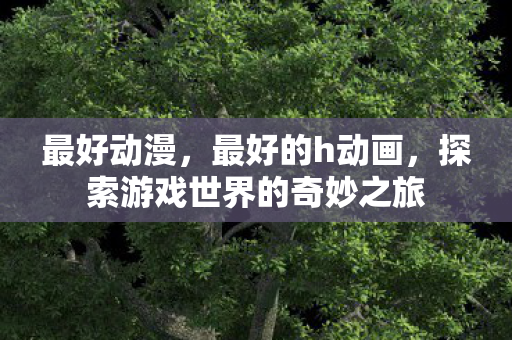 最好动漫,最好的h动画,探索游戏世界的奇妙之旅 最好动漫,最好的h动画,探索游戏世界的奇妙之旅