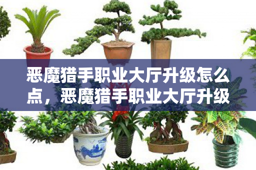 恶魔猎手职业大厅升级怎么点,恶魔猎手职业大厅升级,探索全新游戏世界的奇妙之旅 恶魔猎手职业大厅升级怎么点,恶魔猎手职业大厅升级,探索全新游戏世界的奇妙之旅