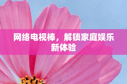 网络电视棒,解锁家庭娱乐新体验 网络电视棒,解锁家庭娱乐新体验