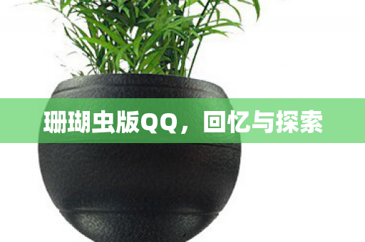 珊瑚虫版QQ,回忆与探索 珊瑚虫版QQ,回忆与探索
