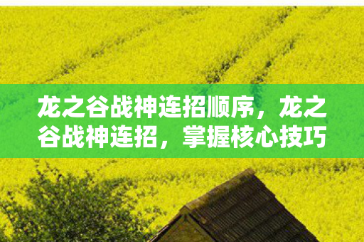 龙之谷战神连招顺序，龙之谷战神连招，掌握核心技巧，打造无敌战斗风格