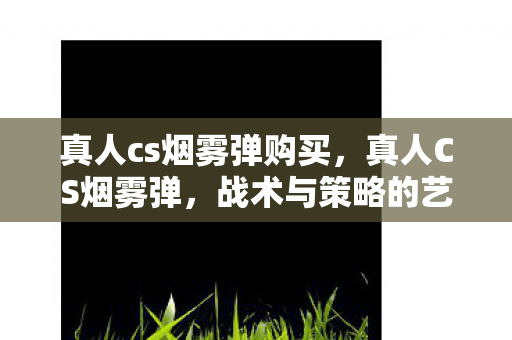 真人cs烟雾弹购买，真人CS烟雾弹，战术与策略的艺术