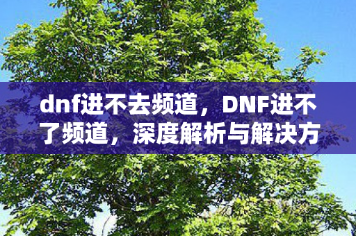 dnf进不去频道,DNF进不了频道,深度解析与解决方案 dnf进不去频道,DNF进不了频道,深度解析与解决方案