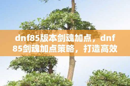dnf85版本剑魂加点,dnf85剑魂加点策略,打造高效战斗力的关键 dnf85版本剑魂加点,dnf85剑魂加点策略,打造高效战斗力的关键