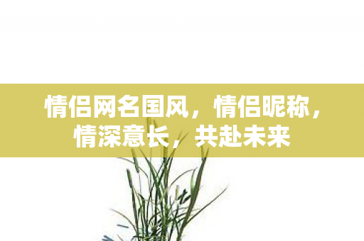 情侣网名国风，情侣昵称，情深意长，共赴未来