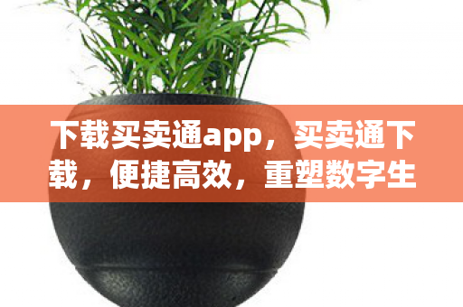 下载买卖通app,买卖通下载,便捷高效,重塑数字生活新体验 下载买卖通app,买卖通下载,便捷高效,重塑数字生活新体验