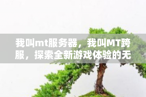 我叫mt服务器,我叫MT跨服,探索全新游戏体验的无限可能 我叫mt服务器,我叫MT跨服,探索全新游戏体验的无限可能