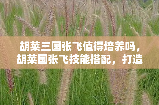 胡莱三国张飞值得培养吗,胡莱国张飞技能搭配,打造最强战将的攻略指南 胡莱三国张飞值得培养吗,胡莱国张飞技能搭配,打造最强战将的攻略指南