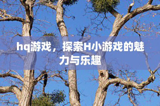 hq游戏，探索H小游戏的魅力与乐趣