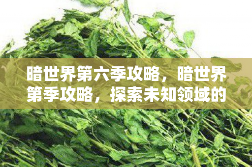 暗世界第六季攻略,暗世界第季攻略,探索未知领域的策略与技巧 暗世界第六季攻略,暗世界第季攻略,探索未知领域的策略与技巧