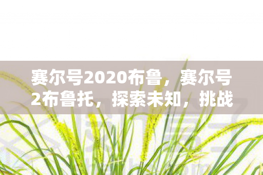 赛尔号2020布鲁,赛尔号2布鲁托,探索未知,挑战极限 赛尔号2020布鲁,赛尔号2布鲁托,探索未知,挑战极限