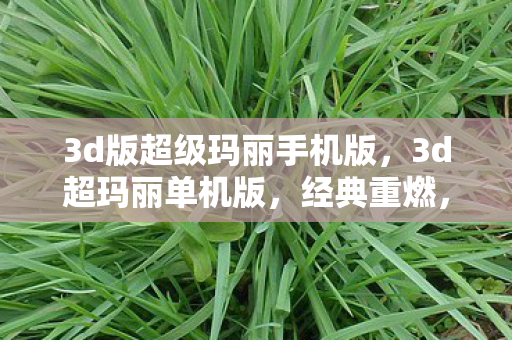 3d版超级玛丽手机版,3d超玛丽单机版,经典重燃,单机新体验 3d版超级玛丽手机版,3d超玛丽单机版,经典重燃,单机新体验
