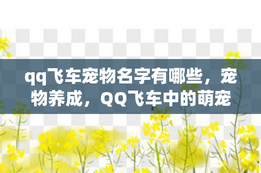 qq飞车宠物名字有哪些,宠物养成,QQ飞车中的萌宠世界 qq飞车宠物名字有哪些,宠物养成,QQ飞车中的萌宠世界